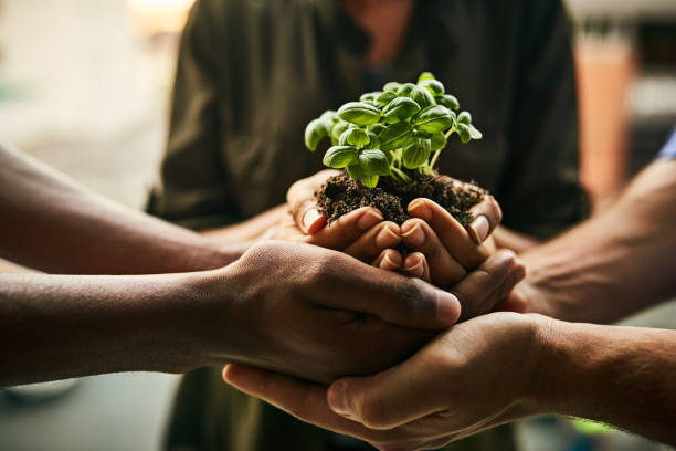 Community Partnership